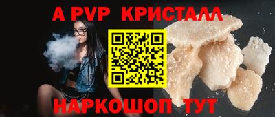 скорость Кингисепп