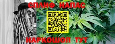 стафф Кинель