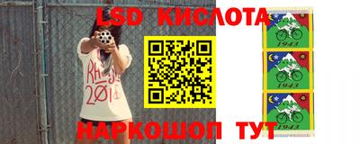 стафф Кинель