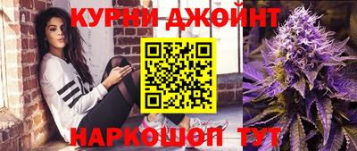 скорость Кингисепп