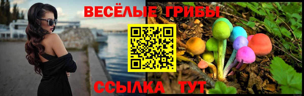 Галлюциногенные грибы мухоморы  Вход с VPN  Керчь  купить  цена  Псилоцибиновые грибы Psilocybe 